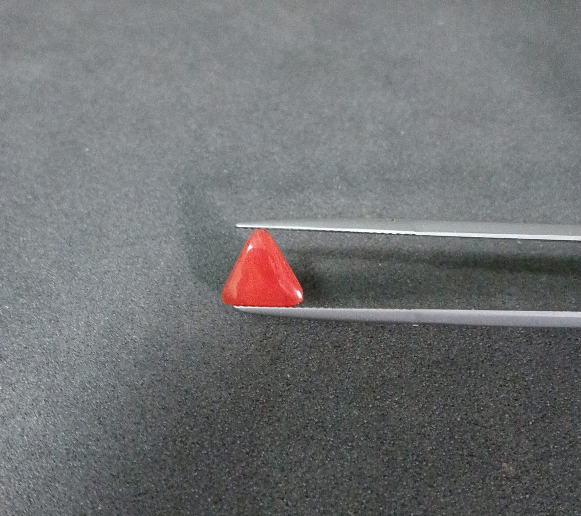 Natural Certified Coral 1.67cts 11-24-5-CO7