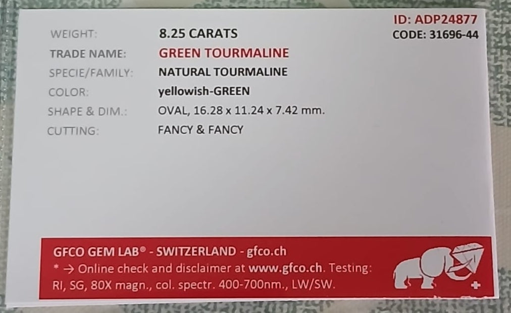 Natural Certified Tourmaline: Serene Oasis 8.25cts- TO01 (24)