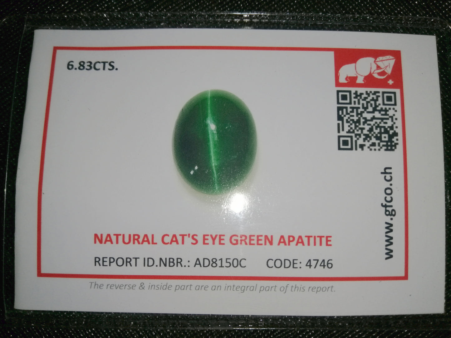 Natural Swiss Lab Certified Apatite Catseye: Green Aurora 6.83cts- AP26 (24)