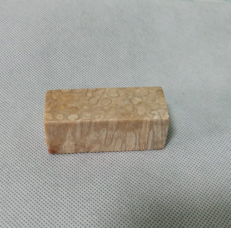 NATURAL CORAL FOSSIL CHRYSANTHEMUM COLOUR CF10
