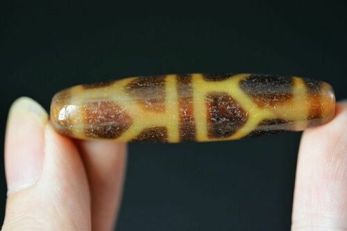 Natural Duck Yellow tortoise shell  dZi Bead Pendant DB144