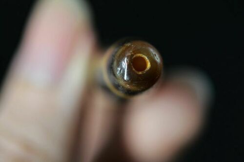 Natural Duck Yellow tortoise shell  dZi Bead Pendant DB144