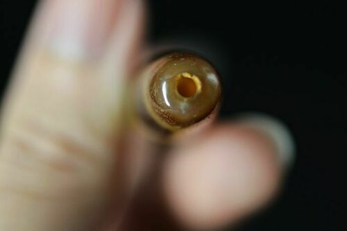 Natural Duck Yellow tortoise shell  dZi Bead Pendant DB144