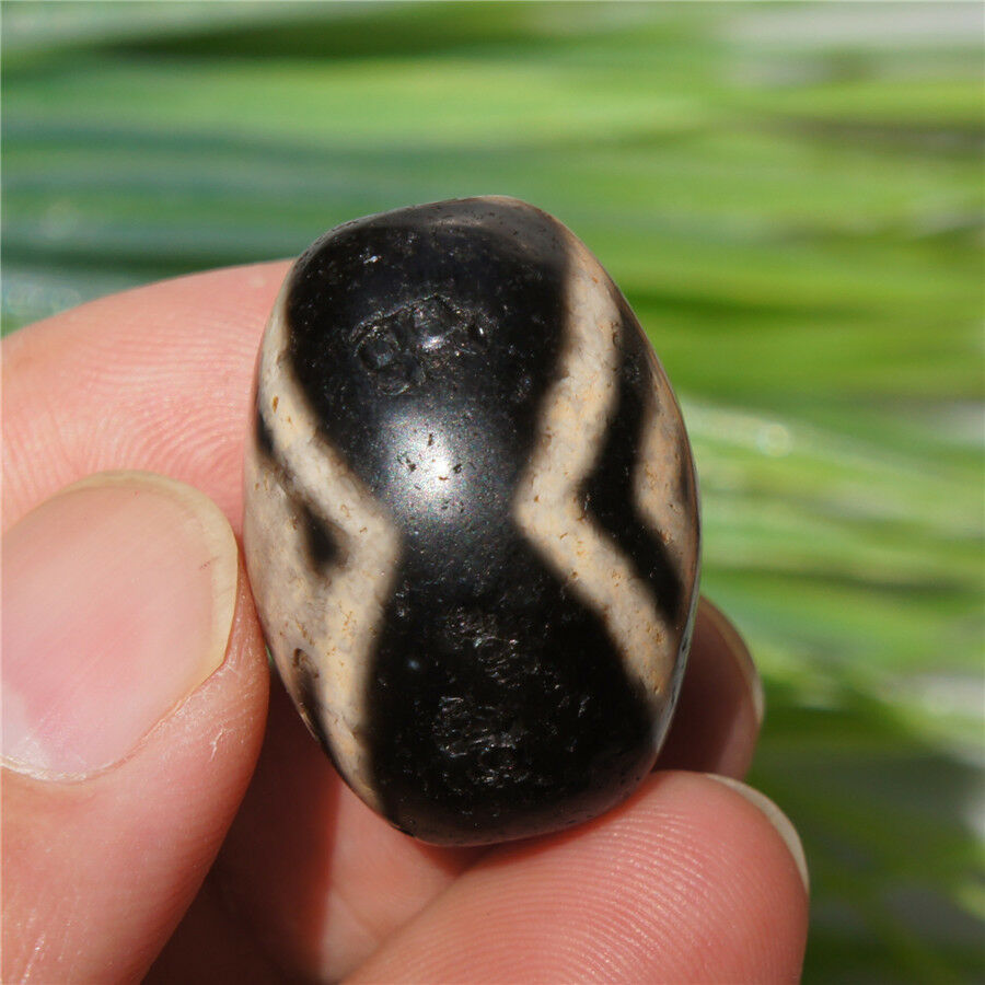 Authentic Natural Tibetan Dzi 2 Eyed Bead DB148