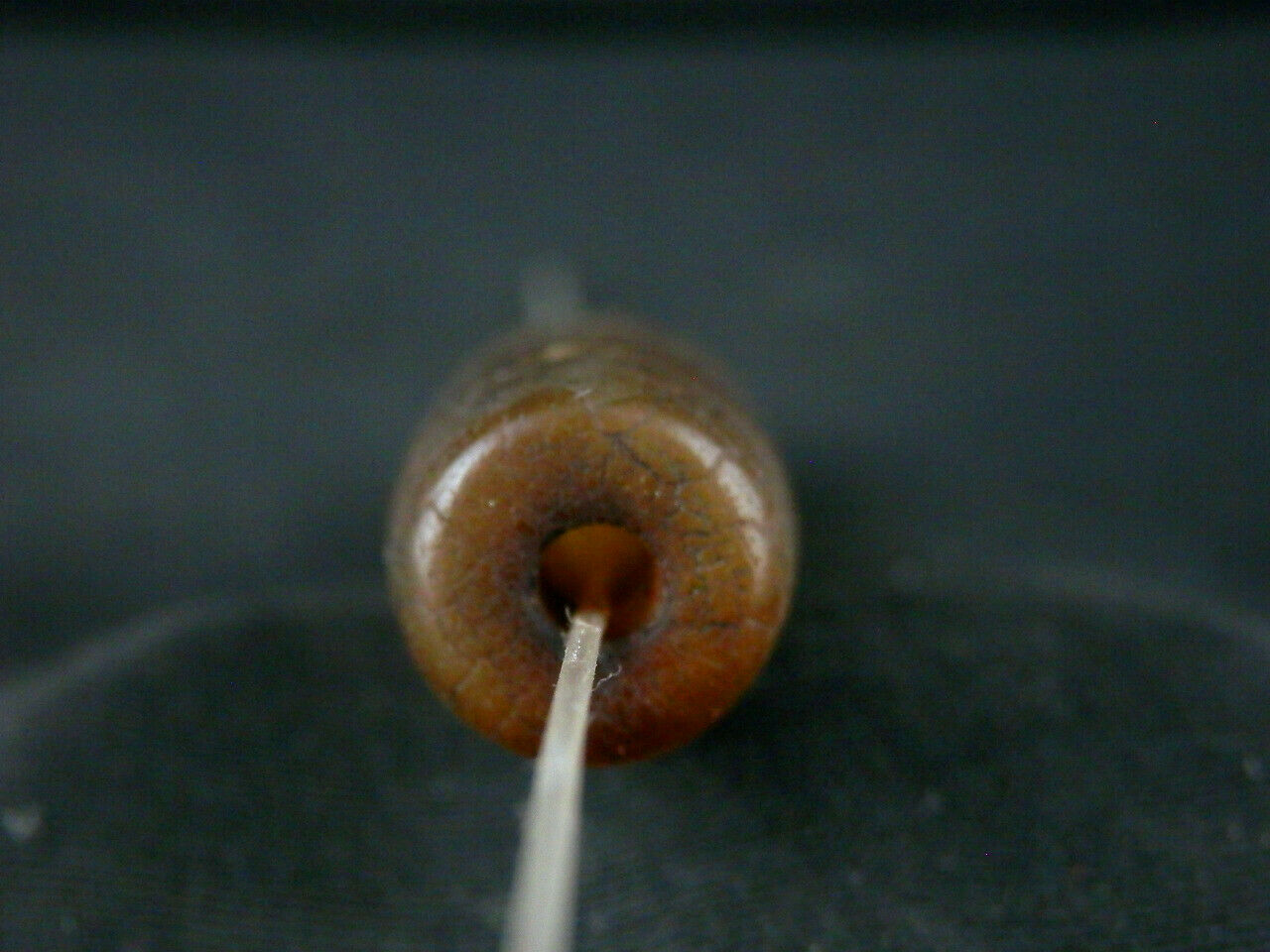 Authentic Natural Tibetan Dzi 6 Eyed Bead DB175