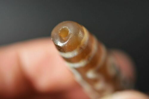 Authentic Natural Tibetan Dzi 6 Eyed Bead DB259