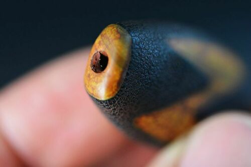 Authentic Natural Tibetan Dzi 5 Eyed Bead DB287