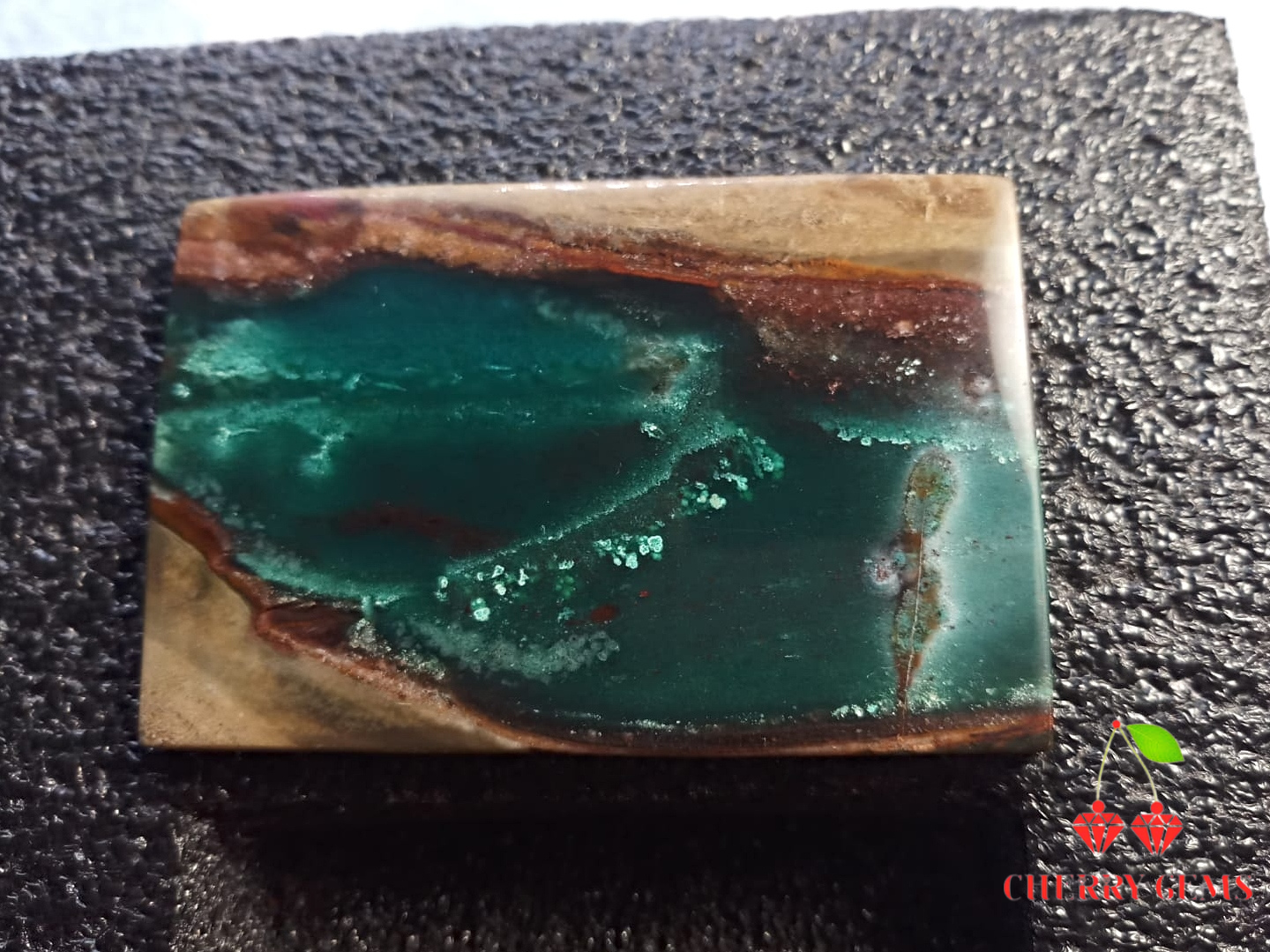 Natural Premium Indonesia Blue Petrified Opal: Blue Genesis Monolith 211.7cts- BP03 (24)
