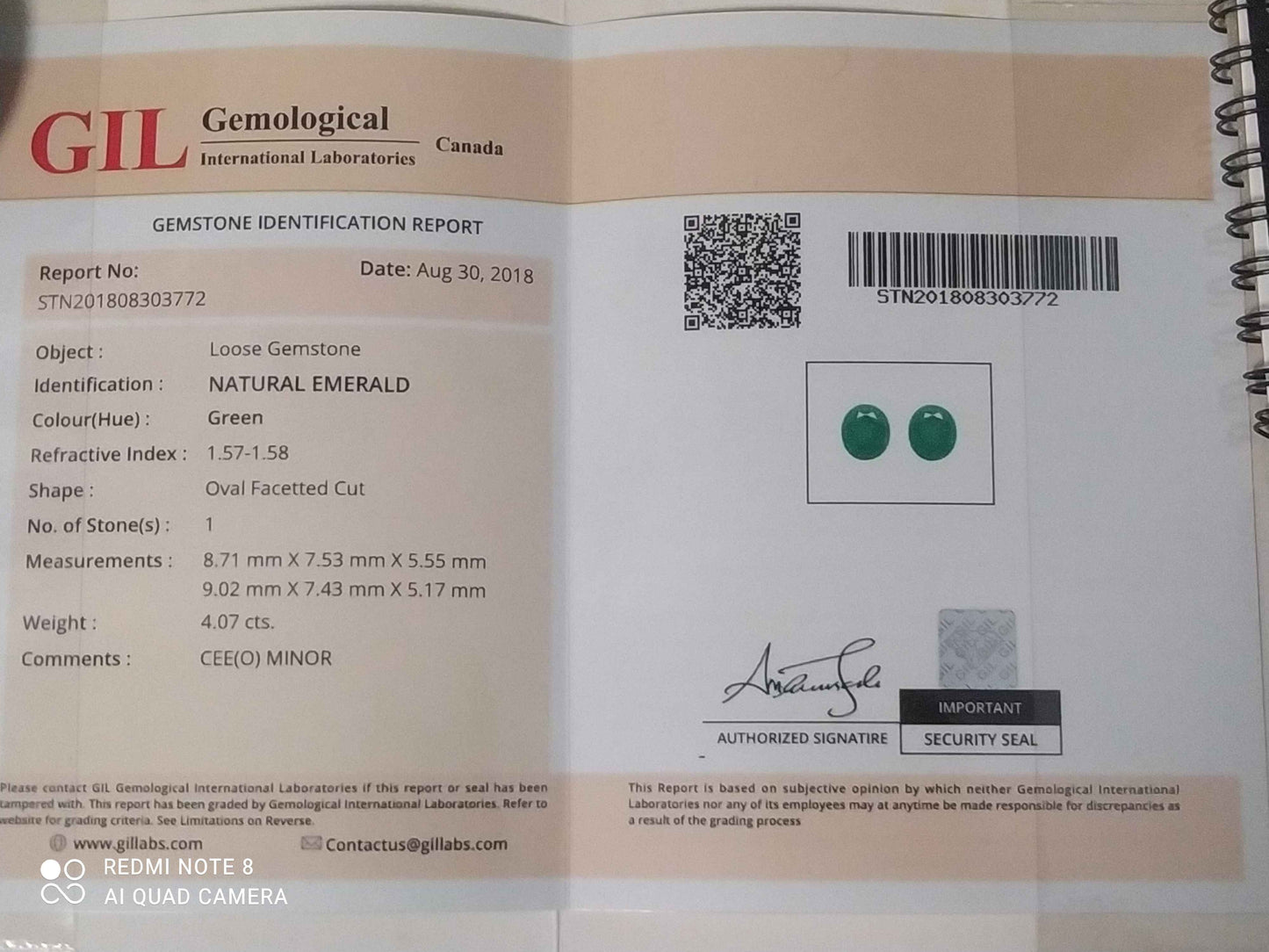 Natural Certified 4.07ct Rich Green Emerald Pair Gemstone EME02