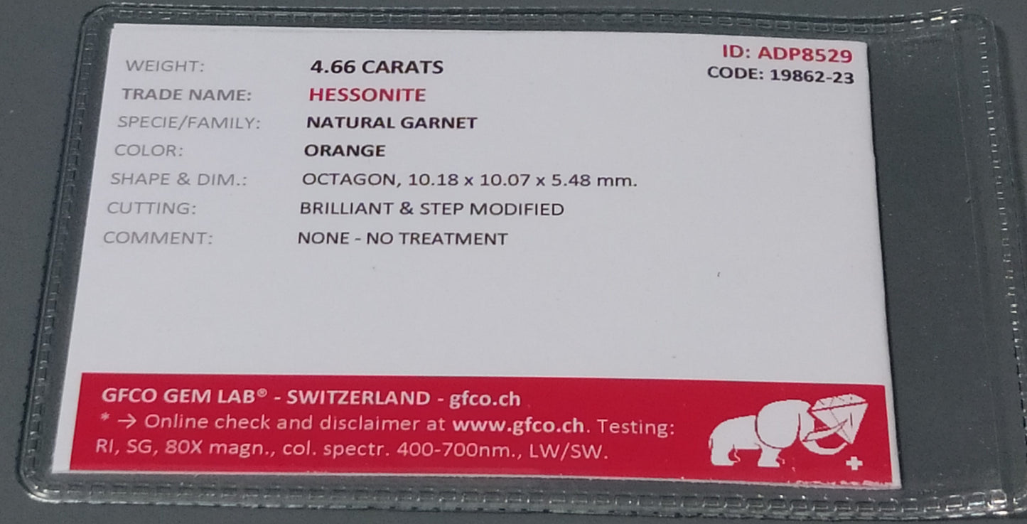 Natural Certified Garnet: Radiant Rouge 4.66cts- NA11 (24)