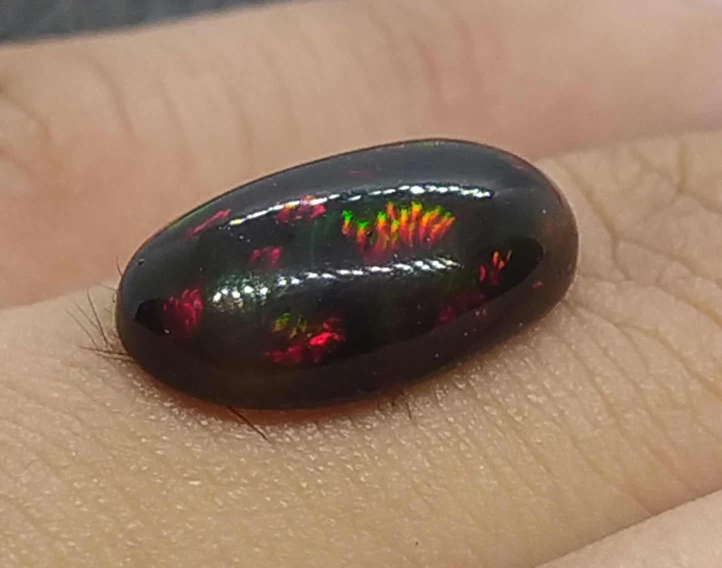 Natural Certified Black Opal: Enchanted Radiance 4.38cts- NA49 (24)
