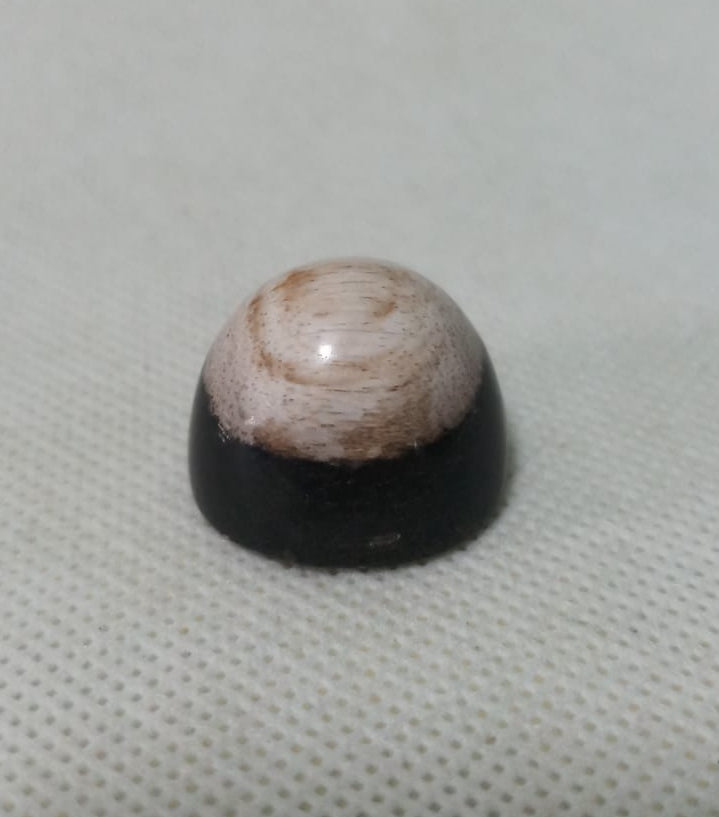 NATURAL PETRIFIED PALM TREE FOSSIL PTF22