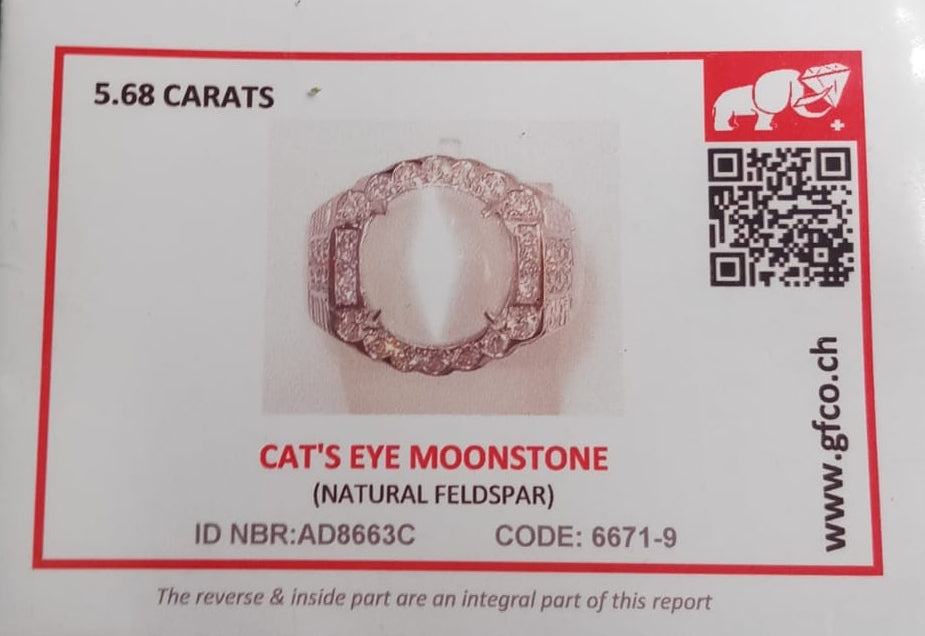 Natural SWISS LAB CERTIFIED RING with Cats Eye Moonstone (SIZE 10.5) SR71