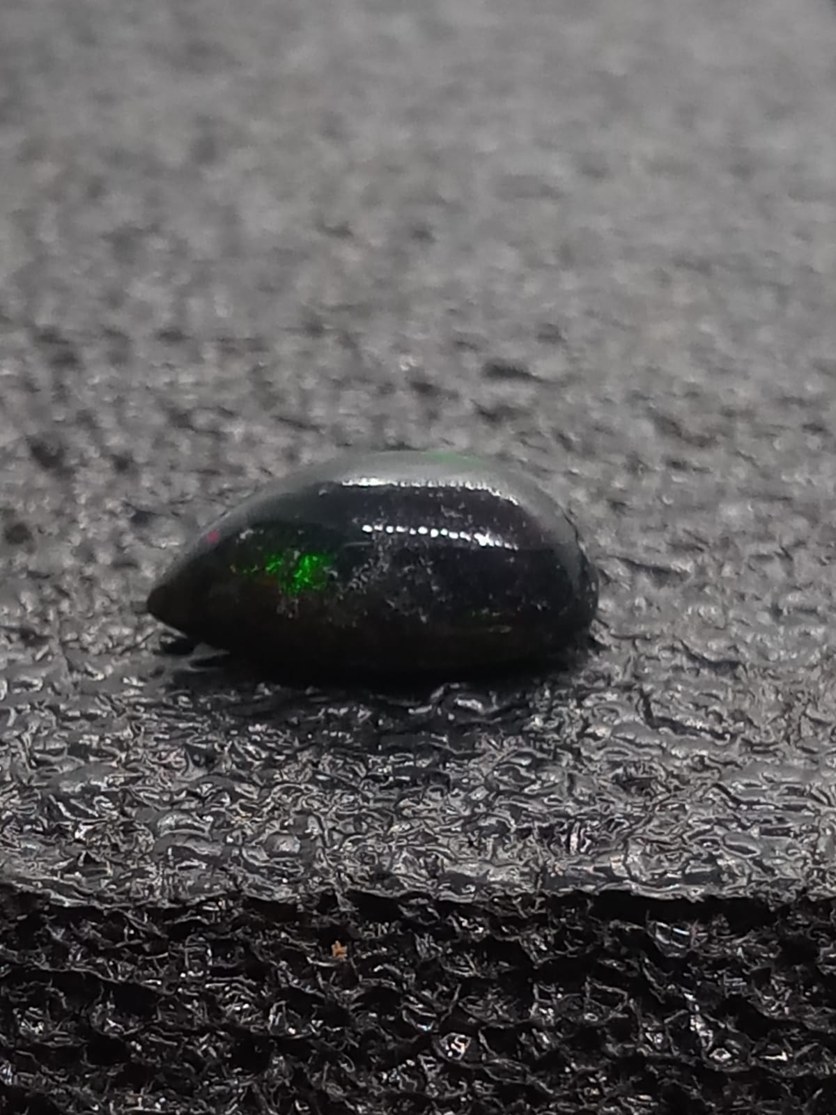 Natural Black Opal: Dark Dreamer 2.75cts- BO9 (24)