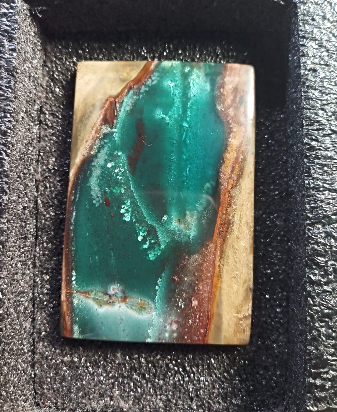Natural Premium Indonesia Blue Petrified Opal: Blue Genesis Monolith 211.7cts- BP03 (24)