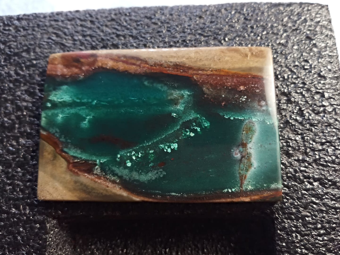 Natural Premium Indonesia Blue Petrified Opal: Blue Genesis Monolith 211.7cts- BP03 (24)