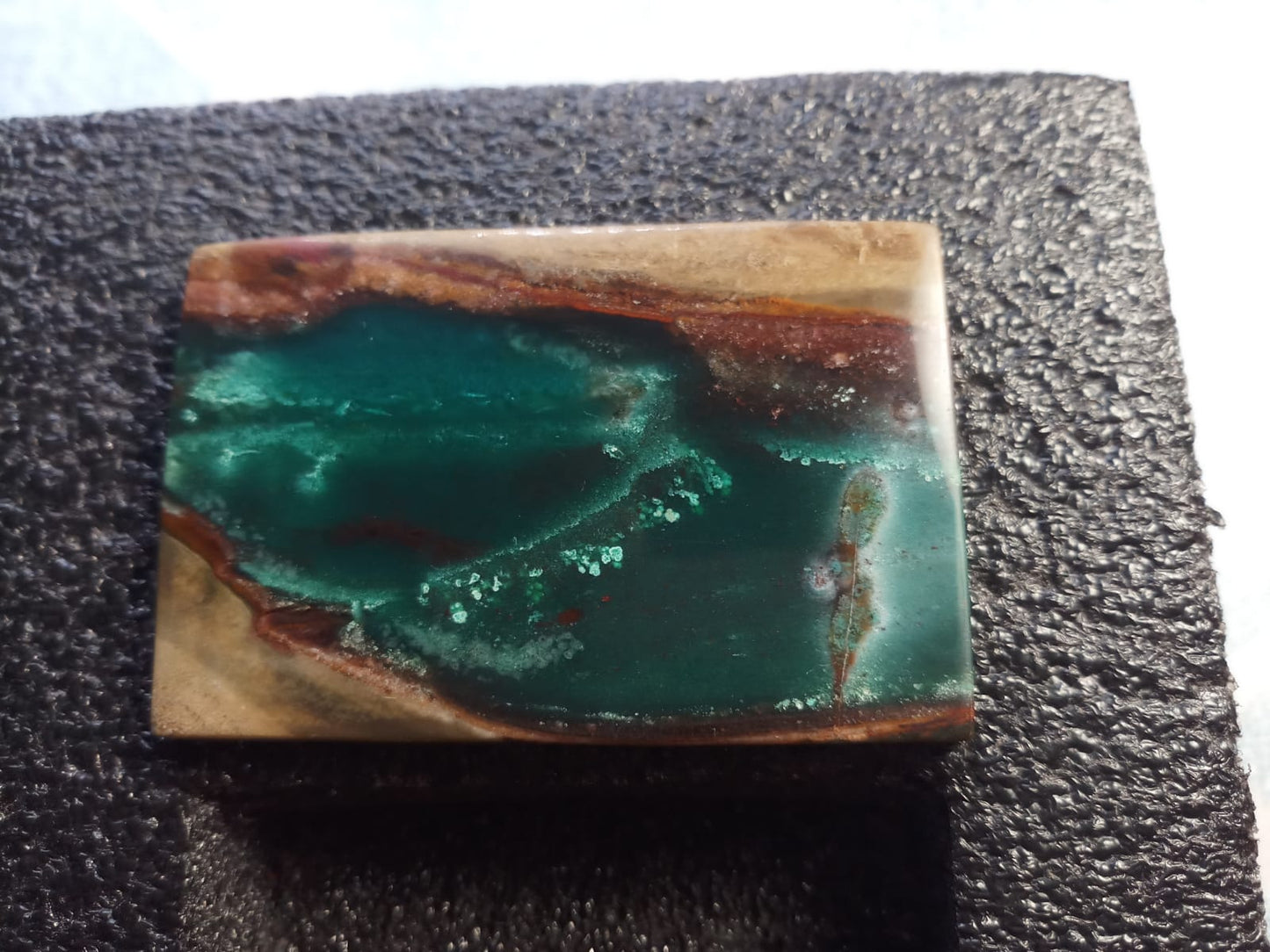 Natural Premium Indonesia Blue Petrified Opal: Blue Genesis Monolith 211.7cts- BP03 (24)