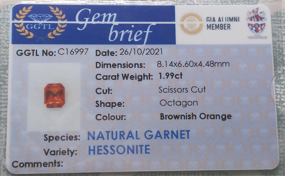 Natural Certified Garnet: Glowing Splendor 1.99cts - G4 (24)
