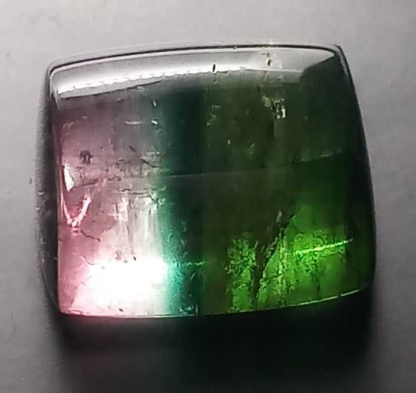 Natural Bi-color Tourmaline: Chroma Fusion 18.80cts- 2TC101C94 (24)