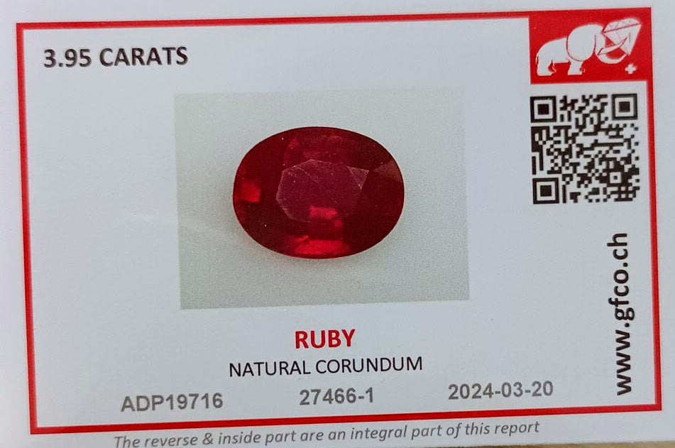 Men's Luxury Bold LB-16R/Y