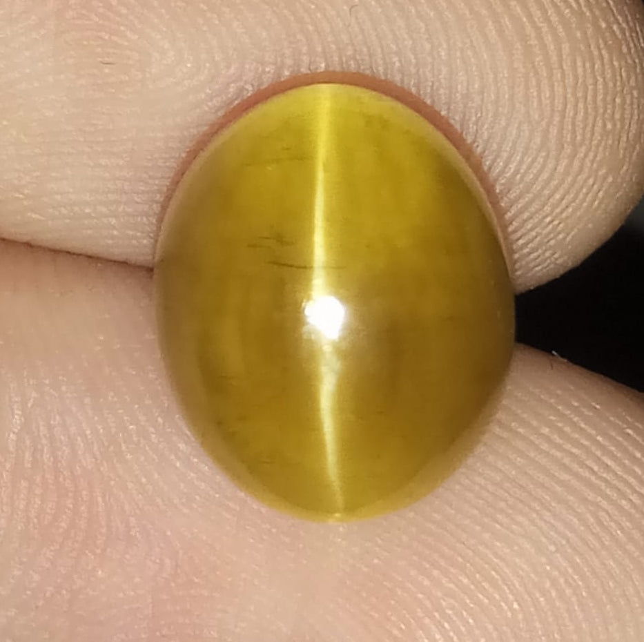 Natural Certified Apatite Catseye 8.9cts- AP20 (24)