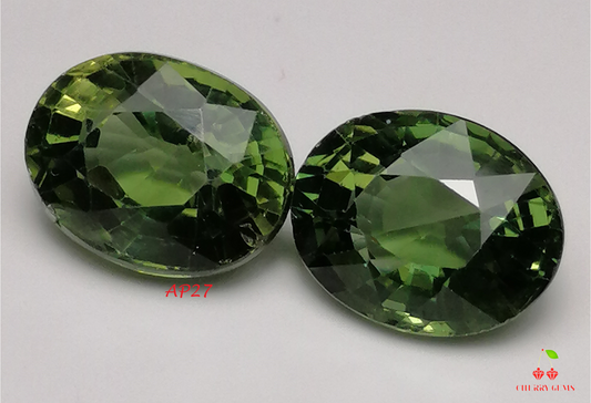Natural Swiss Lab Certified Charming Vivid Green Pair Apatite 4.83cts- AP27 (24)
