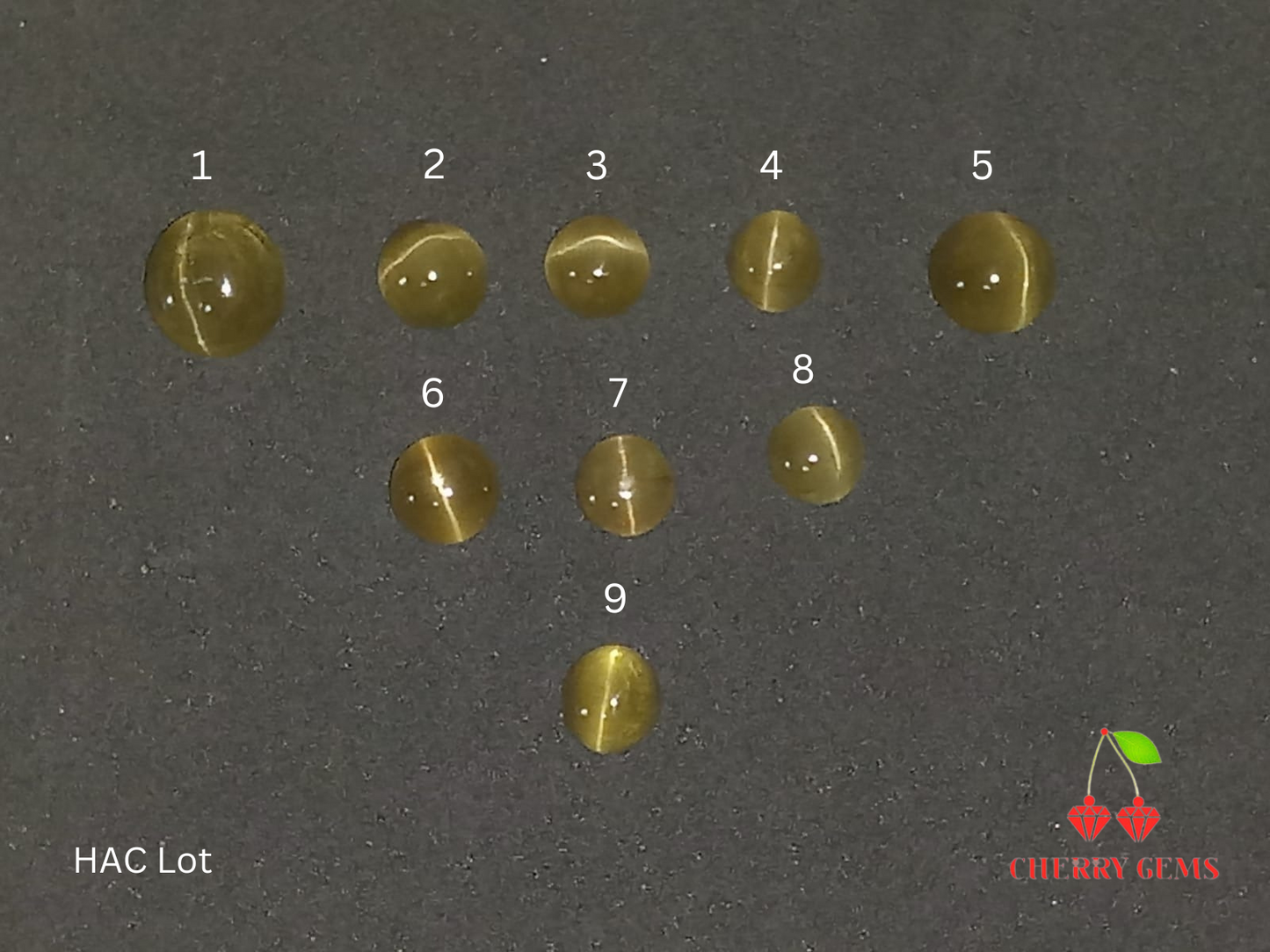 Natural Honey Apatite Catseye Lot: Golden Honey Gaze Lot 52.35cts-HAC Lot (24)