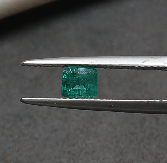 Natural Certified Emerald 0.79cts 11-24-6-EM93