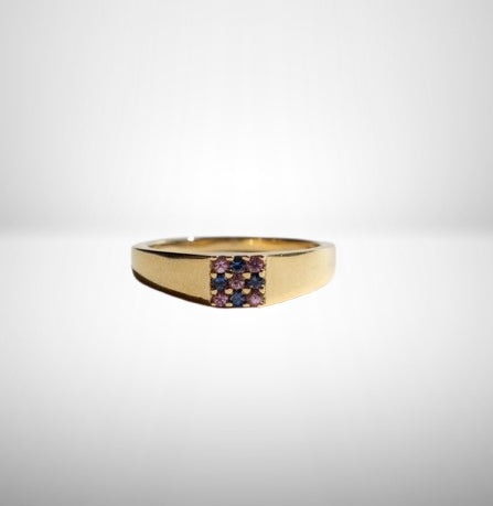 Duetto Signet Ring: A Symphony of Blue and Pink