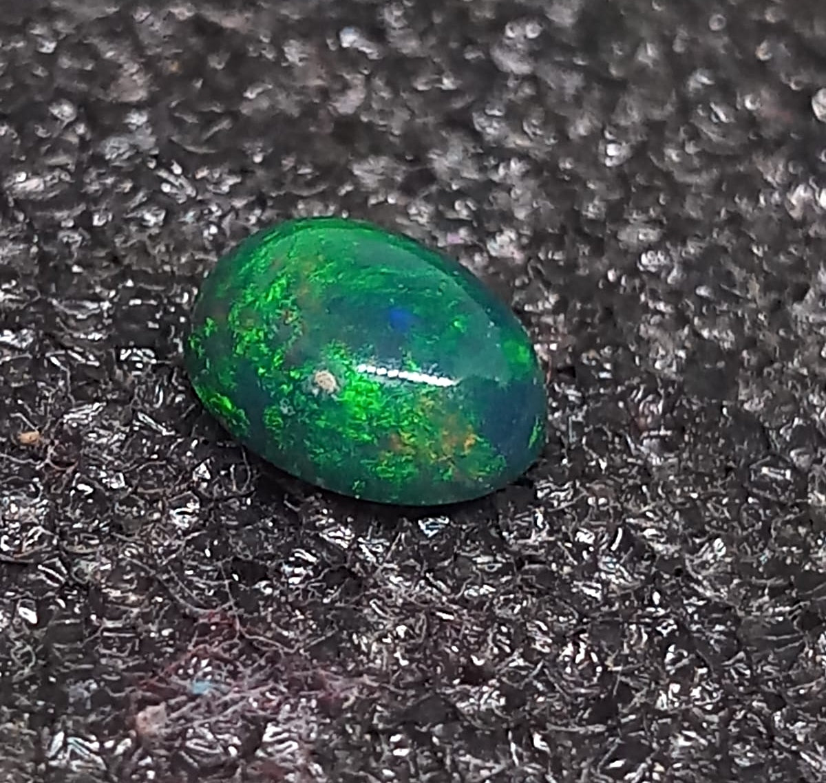 Natural Black Opal: Sovereign Night Opal 1.25cts- BO3 (24)