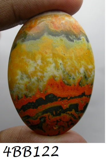 Natural Bumble Bee Jasper