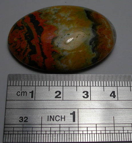 Natural Bumble Bee Jasper