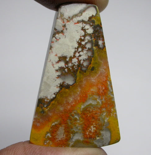 Natural Bumble Bee Jasper 4BB169