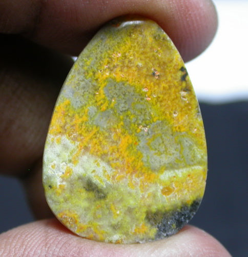 Natural Bumble Bee Jasper