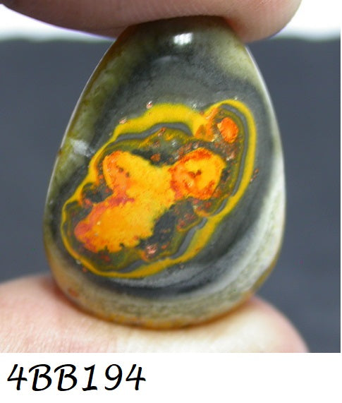 Natural Bumble Bee Jasper