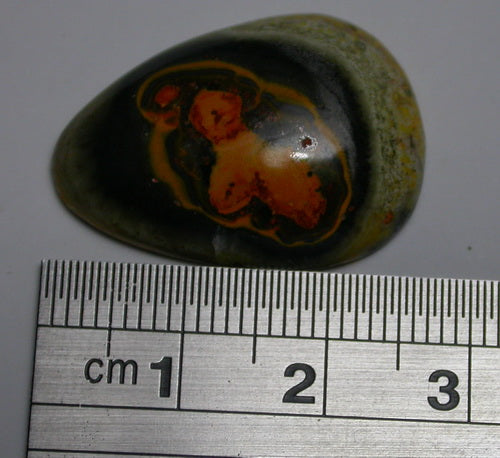 Natural Bumble Bee Jasper