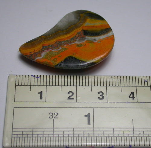 Natural Bumble Bee Jasper 4BB234