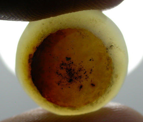 Roasted Egg Natural Agate 4UAG109