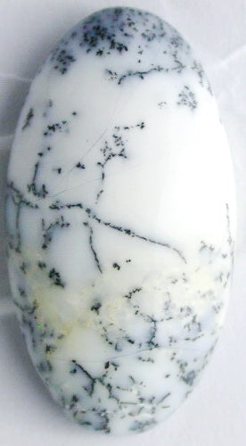 Natural White Dendtric Agate 4WDA101