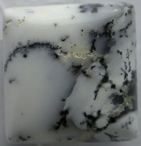 Natural White Dendtric Agate 4WDA103