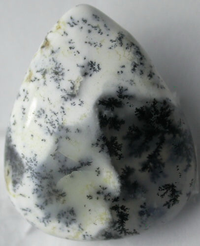 Natural White Dendtric Agate 4WDA104