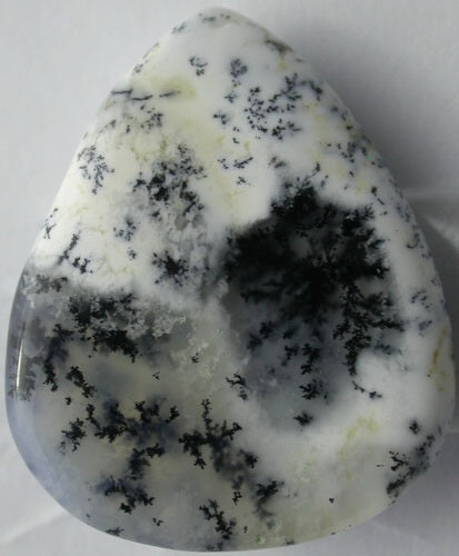 Natural White Dendtric Agate 4WDA104