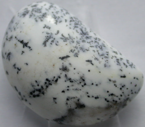 Natural White Dendtric Agate 4WDA108