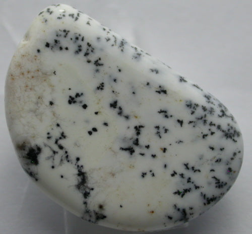 Natural White Dendtric Agate 4WDA108