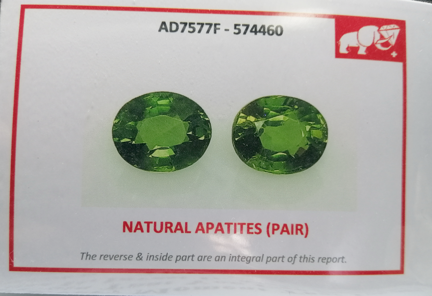 Natural Swiss Lab Certified Charming Vivid Green Pair Apatite 4.83cts- AP27 (24)