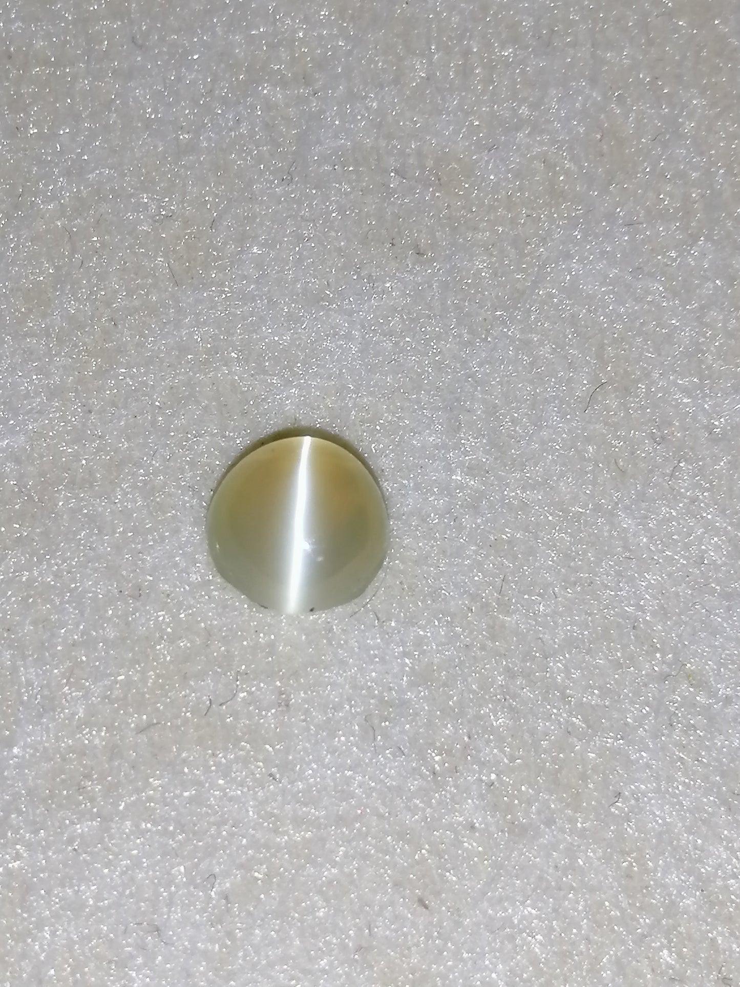 Natural Certified Chrysoberyl Catseye: Golden Gleam 1.26cts- CCE2 (24)