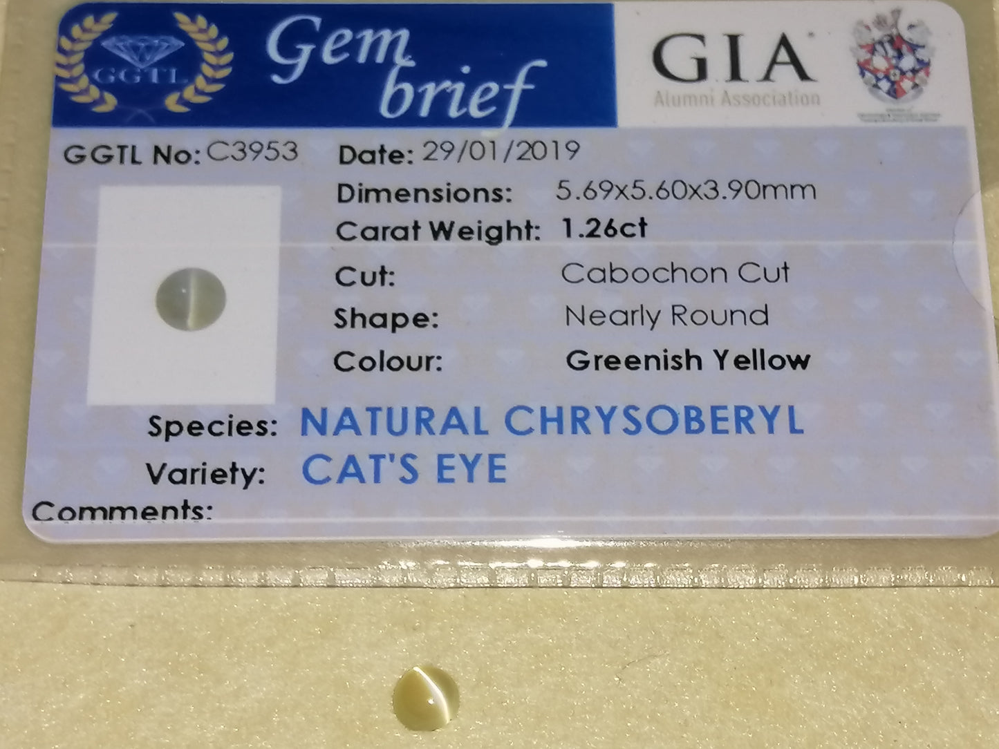 Natural Certified Chrysoberyl Catseye: Golden Gleam 1.26cts- CCE2 (24)