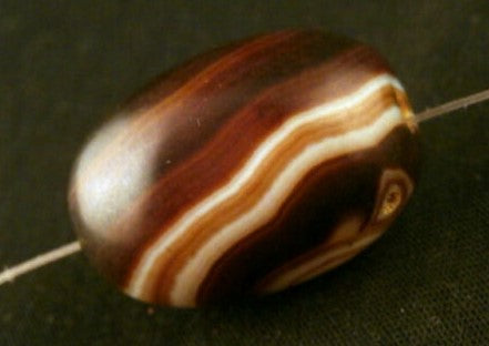 Natural Tibetan Dzi one Eyed Bead