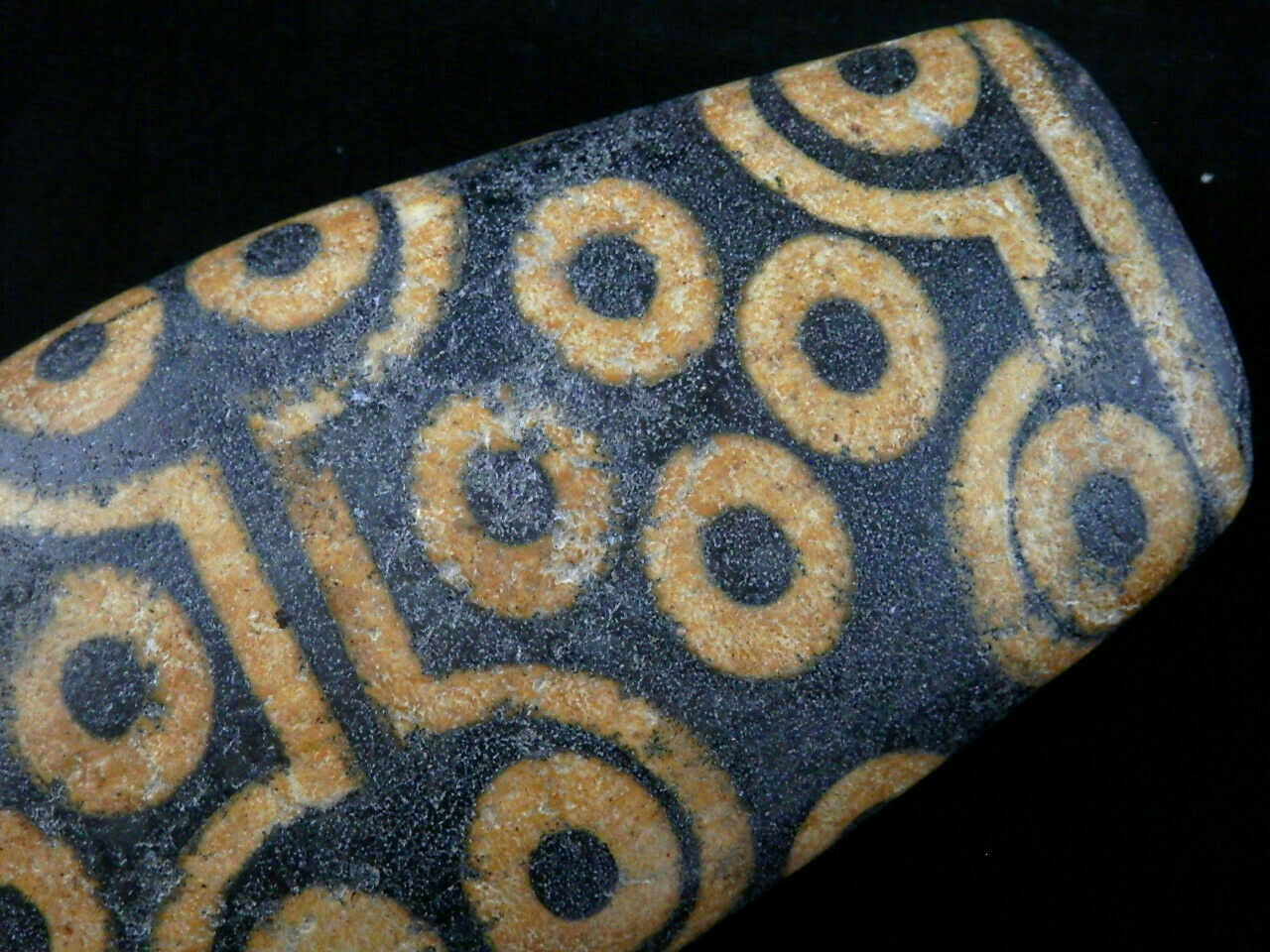 Authentic Rare Natural Large Tibetan Old Dzi 36Eyed Flat Bead (PALM SIZE) DB176