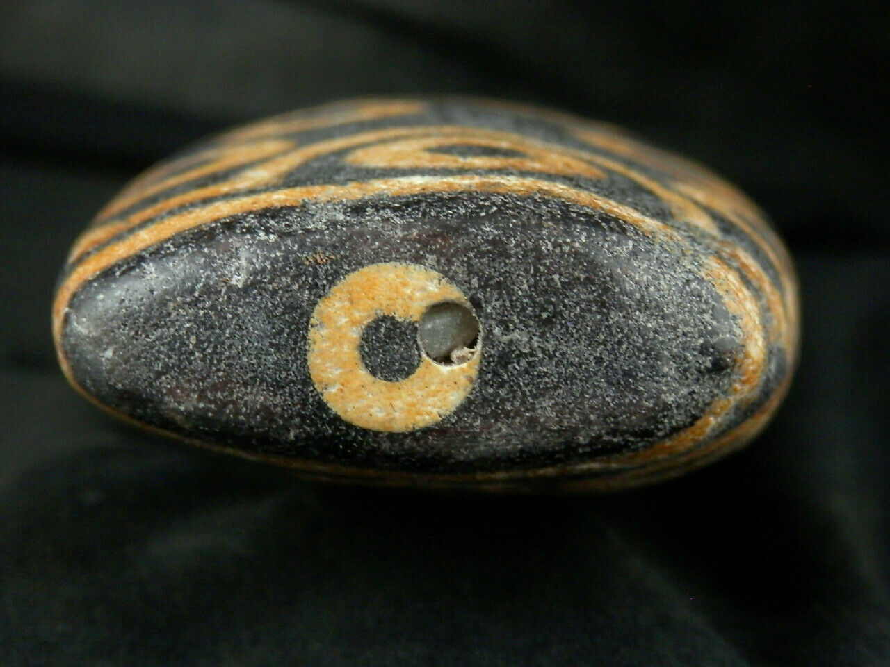 Authentic Rare Natural Large Tibetan Old Dzi 36Eyed Flat Bead (PALM SIZE) DB176